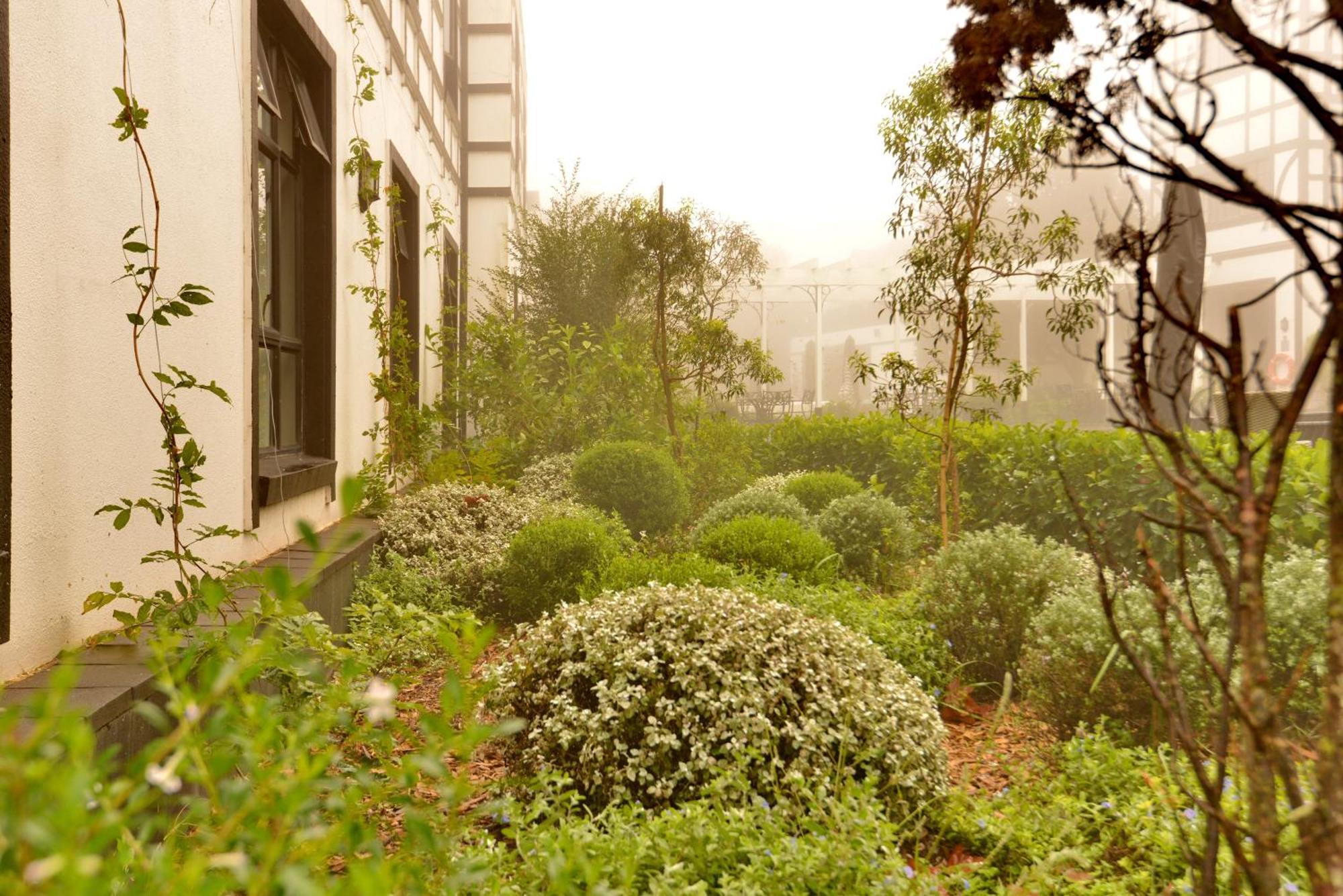 Anew Hotel Hilton Pietermaritzburg Eksteriør billede